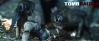 /album/fond-decran-tomb-raider-/a2014-02-20-00023-jpg/